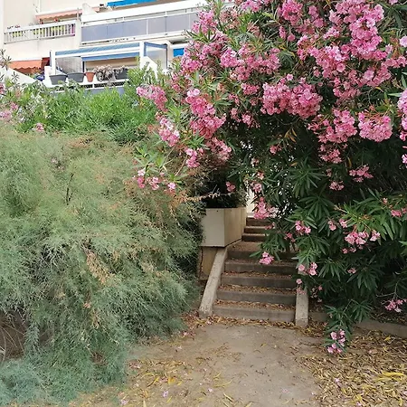 Apartamento Avec Terrasse Et Climatisation, Proche - Fr-1-715-101 *