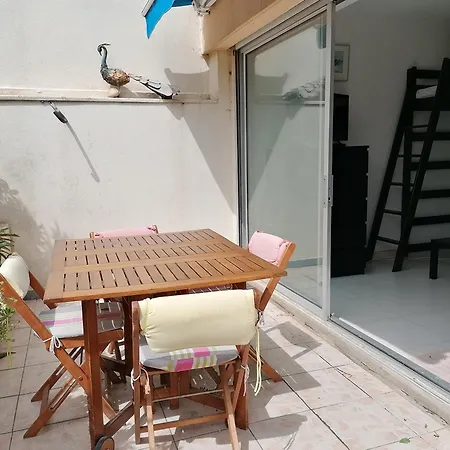 Avec Terrasse Et Climatisation, Proche - Fr-1-715-101 *